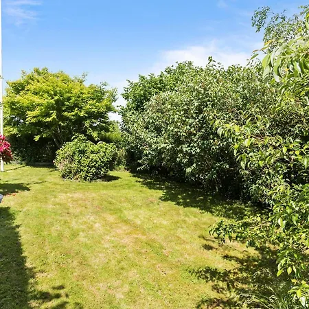 Pet Friendly In With Wifi