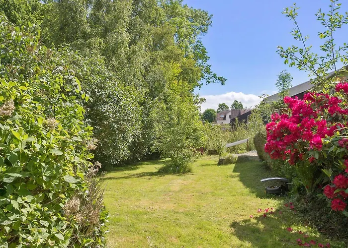 Pet Friendly In With Wifi *