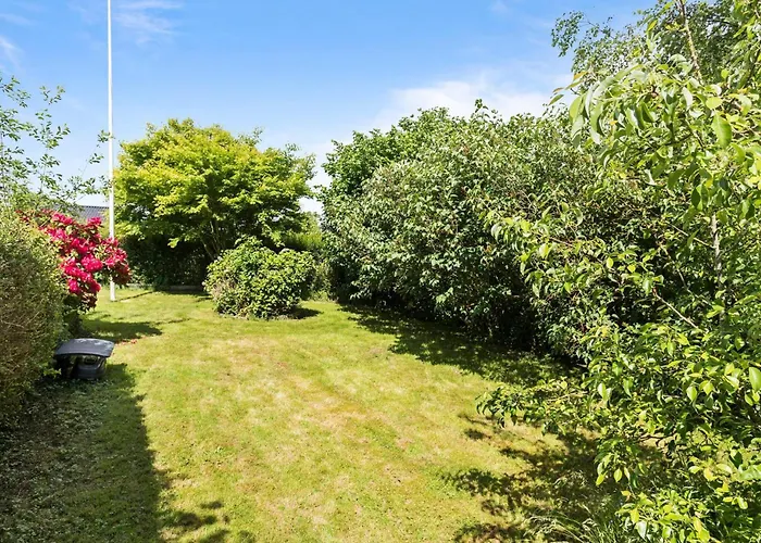 Pet Friendly In With Wifi